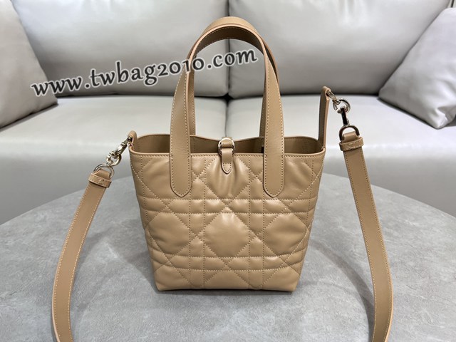 Dior专柜2025新款迪奥高仿原单Toujours竖版手袋牛皮休闲手提女包 djfk1300